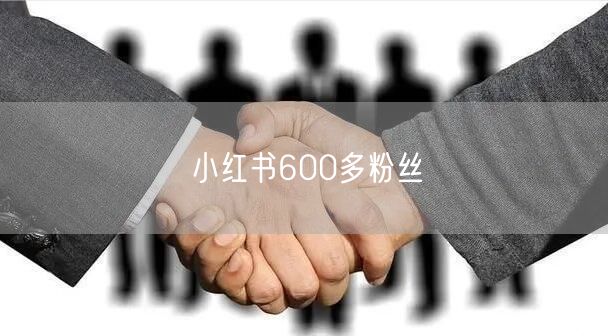 小红书600多粉丝