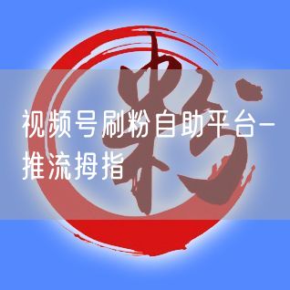 视频号刷粉自助平台-推流拇指